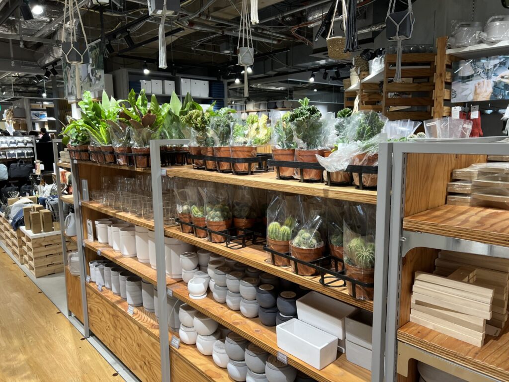 Standard Products マロニエゲート銀座店