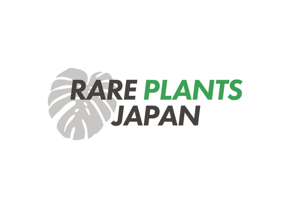 僕がRARE PLANTS JAPANを始めた理由